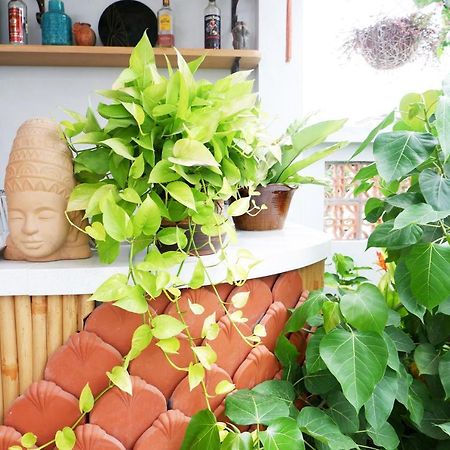 An Nhien Boutique Villa Hoi An Dış mekan fotoğraf